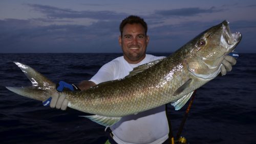 Poisson poulet pris en pêche au jig - www.rodfishingclub.com - Rodrigues - Maurice - Océan Indien