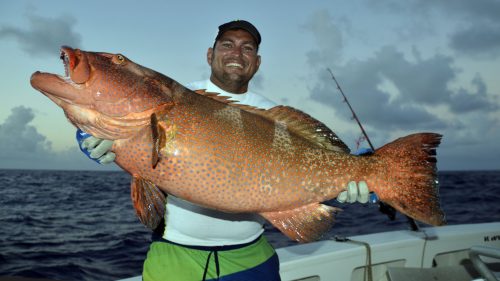 Red corail trout on jigging - www.rodfishingclub.com - Rodrigues - Mauritius - Indian Ocean