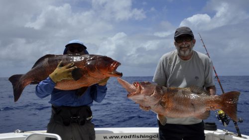 Red corail trouts on baiting - www.rodfishingclub.com - Rodrigues - Mauritius - Indian Ocean