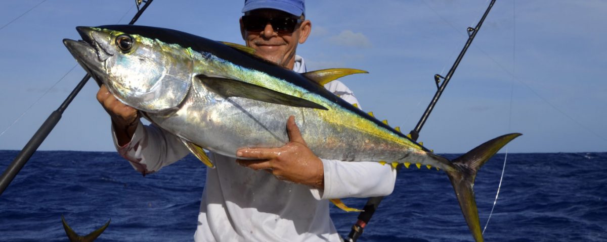 Thon jaune en pêche a la traine par Denis - www.rodfishingclub.com - Rodrigues - Maurice - Océan Indien