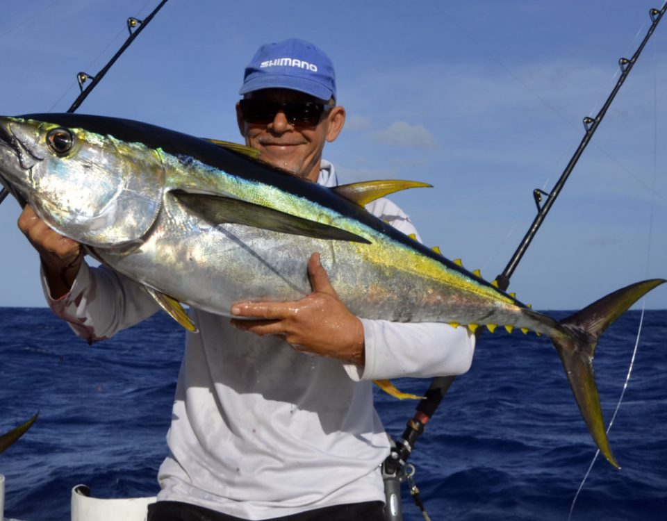 Thon jaune en pêche a la traine par Denis - www.rodfishingclub.com - Rodrigues - Maurice - Océan Indien