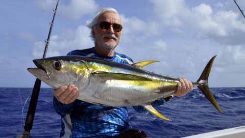 Thon jaune en pêche a la traine par Guy - www.rodfishingclub.com - Rodrigues - Maurice - Océan Indien