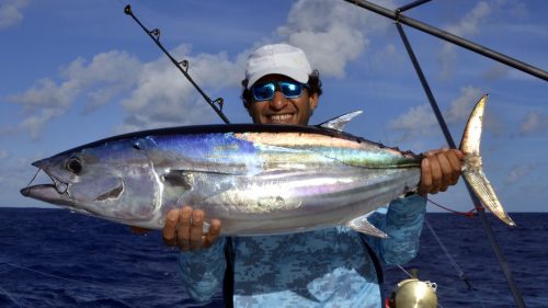 Thon skipjack en pêche a la traîne par Chris - www.rodfishingclub.com - Rodrigues - Maurice - Océan Indien