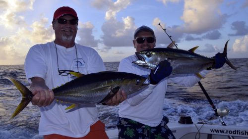 Thons jaunes en pêche a la traîne - www.rodfishingclub.com - Rodrigues - Maurice - Océan Indien