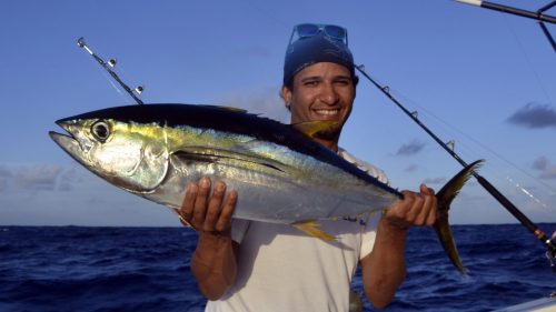 ellowfin tuna on trolling by Christophe - www.rodfishingclub.com - Rodrigues - Mauritius - Indian Ocean