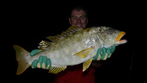 Gros bec de canne en peche a l appat - www.rodfishingclub.com - Rodrigues - Maurice - Ocean Indien