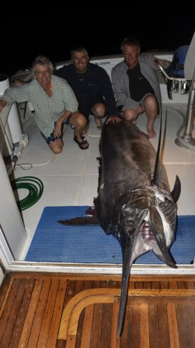 Marlin noir 270kg en peche a la traine - www.rodfishingclub.com - Rodrigues - Maurice - Ocean Indien