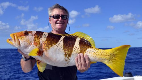 Merou babone ananas en peche au jig - www.rodfishingclub.com - Rodrigues - Maurice - Ocean Indien