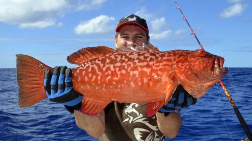 Red corail trout on jigging - www.rodfishingclub.com - Rodrigues - Mauritius - Indian Ocean