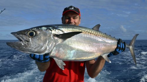 Thon dents de chien en peche a la traine - www.rodfishingclub.com - Rodrigues - Maurice - Ocean Indien