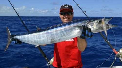 Wahoo en peche a la traine sur un Williamson Speed Pro Deep - www.rodfishingclub.com - Rodrigues - Maurice - Ocean Indien