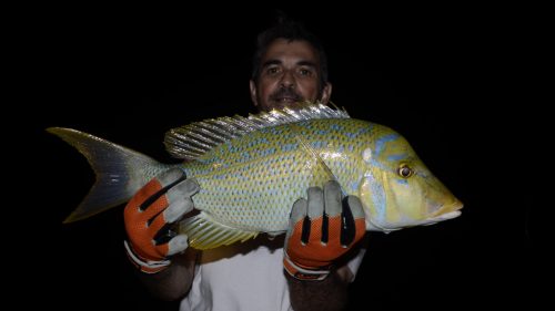 Capitaine en peche a l'appat par Bertrand