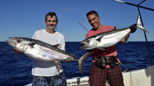 Doublé de thons dents de chien en peche au jig