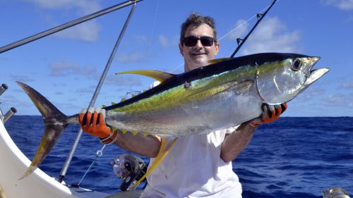 Magnifique thon jaune en peche a la traine