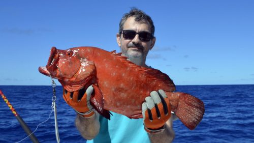 Mama rouge en peche au jig par Bertrand