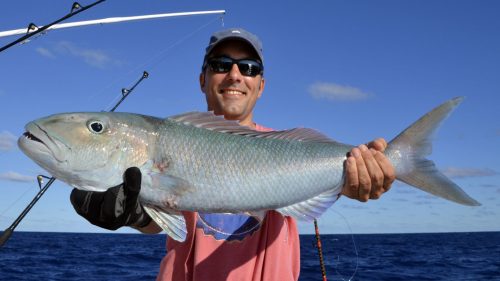 Poisson poulet en peche au jig par Gilles