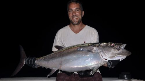 Thon dents de chien en peche a l'appat par Gilles