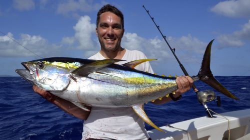 Thon jaune en peche a la traine par Gilles