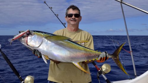 Yellowfin tuna on trolling