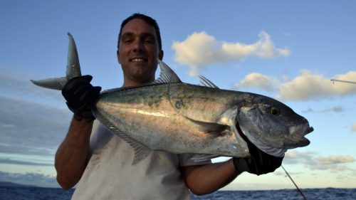 Yellowspotted trevally on jigging