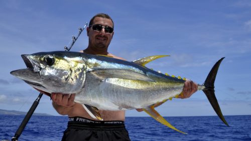 eau thon jaune en peche a la traine - www.rodfishingclub.com - Rodrigues - Maurice - Ocean Indien