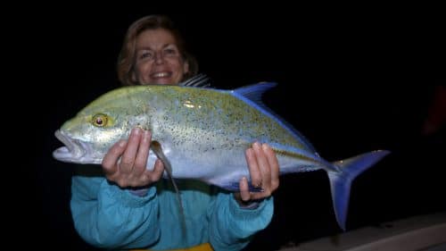 Bluefin trevally on baiting by Christine - www.rodfishingclub.com - Rodrigues - Mauritius - Indian Ocean