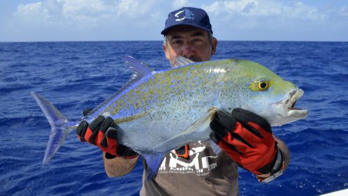 Carangue bleue en peche au jig par Marc - www.rodfishingclub.com - Rodrigues - Maurice - Ocean Indien