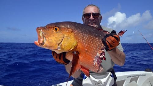 Carpe rouge en peche a l appat coupé par un requin - www.rodfishingclub.com - Rodrigues - Maurice - Ocean Indien