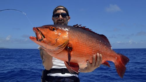 Carpe rouge en peche au jig - www.rodfishingclub.com - Rodrigues - Maurice - Océan Indien