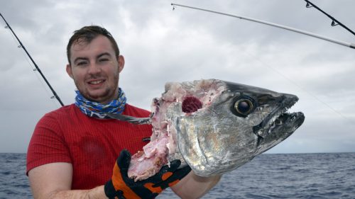 Good doggy after shark on baiting - www.rodfishingclub.com - Rodrigues - Mauritius - Indian Ocean