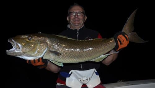 Jobfish on baiting by Phiilippe - www.rodfishingclub.com - Rodrigues - Mauritius - Indian Ocean