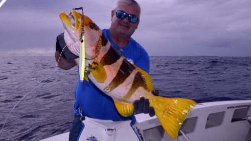 Mérou babone ananas (plectopromus laevi) en peche au jig - www.rodfishingclub.com - Rodrigues - Maurice - Océan Indien