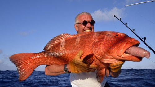 Mérou babone en peche a l'appat - www.rodfishingclub.com - Rodrigues - Maurice - Océan Indien