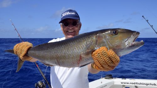 Poisson poulet en peche a l'appat - www.rodfishingclub.com - Rodrigues - Maurice - Océan Indien