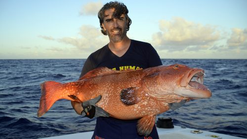 Red corail trout on jigging by Bruno - www.rodfishingclub.com - Rodrigues - Mauritius - Indian Ocean