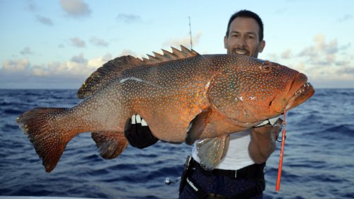 Red corail trout on jigging - www.rodfishingclub.com - Rodrigues - Mauritius - Indian Ocean