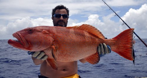 Red corail trout on jigging - www.rodfishingclub.com - Rodrigues - Mauritius - Indian Ocean