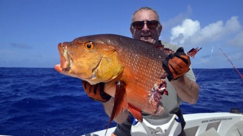 Red snapper on baiting cut by shark - www.rodfishingclub.com - Rodrigues - Mauritius - Indian Ocean