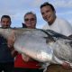 Thon a dents de chien de 60kg en peche au vif - www.rodfishingclub.com - Rodrigues - Maurice - Ocean Indien