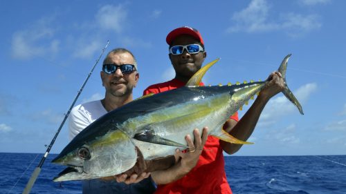 Thon jaune en peche a la traine par JP - www.rodfishingclub.com - Rodrigues - Maurice - Océan Indien