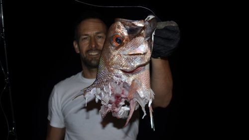 Vivaneau coupé par un requin en peche au jig - www.rodfishingclub.com - Rodrigues - Maurice - Océan Indien
