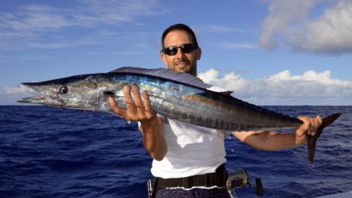 Wahoo on trolling - www.rodfishingclub.com - Rodrigues - Mauritius - Indian Ocean