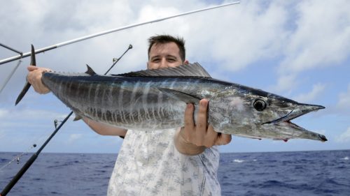 Wahoo on trolling - www.rodfishingclub.com - Rodrigues - Mauritius - Indian Ocean