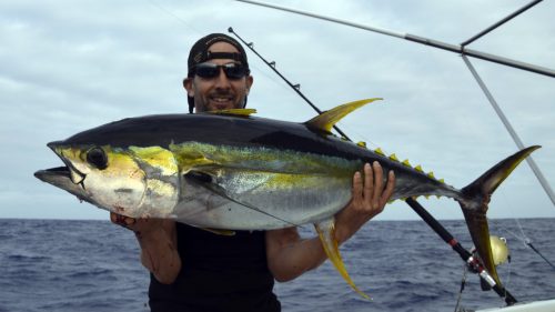 Yellowfin tuna on trolling - www.rodfishingclub.com - Rodrigues - Mauritius - Indian Ocean