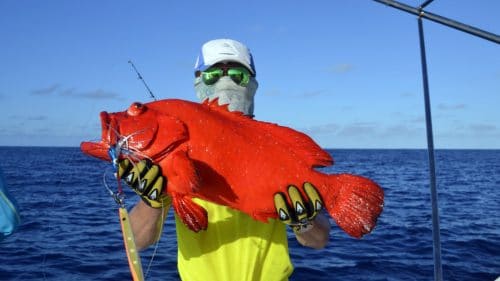 Mama rouge en peche au jig par Peter - www.rodfishingclub.com - Rodrigues - Maurice - Ocean Indien