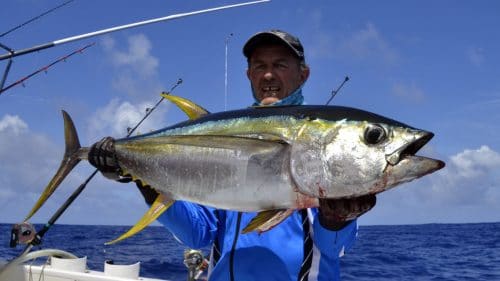 Thon jaune en peche a la traine par Philippe - www.rodfishingclub.com - Rodrigues - Maurice - Ocean Indien