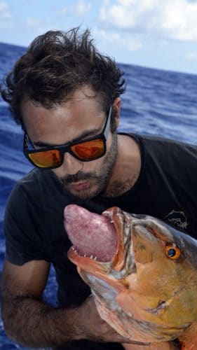 Charming kiss - www.rodfishingclub.com - Rodrigues - Mauritius - Indian Ocean