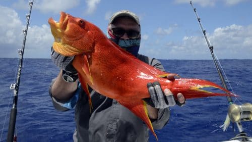 Croissant queue jaune en peche au jig - www.rodfishingclub.com - Rodrigues - Maurice - Ocean Indien