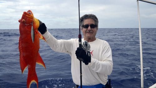 Croissant queue jaune en slow jigging - www.rodfishingclub.com - Rodrigues - Maurice - Océan Indien