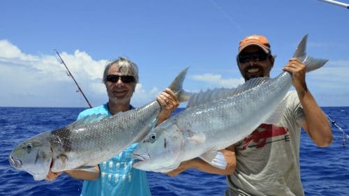 Double strike of jobfish on baiting - www.rodfishingclub.com - Rodrigues - Mauritius - Indian Ocean